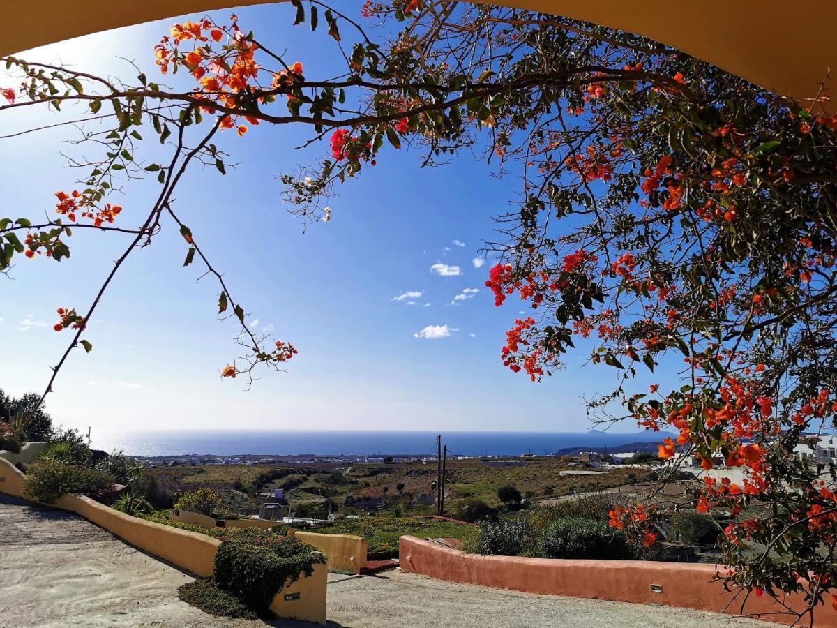 Vineyards Hill Villa Мегалохори Экстерьер фото